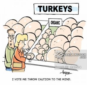 'I vote we throw caution to the wind.'