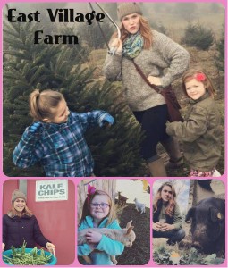 east-village-farm-1